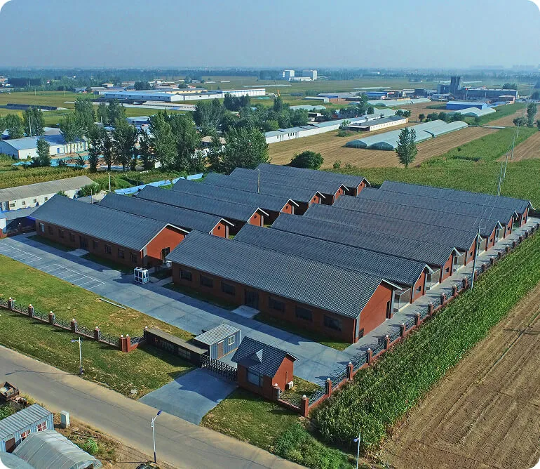 Huaxing Pet Food Co.,Ltd.