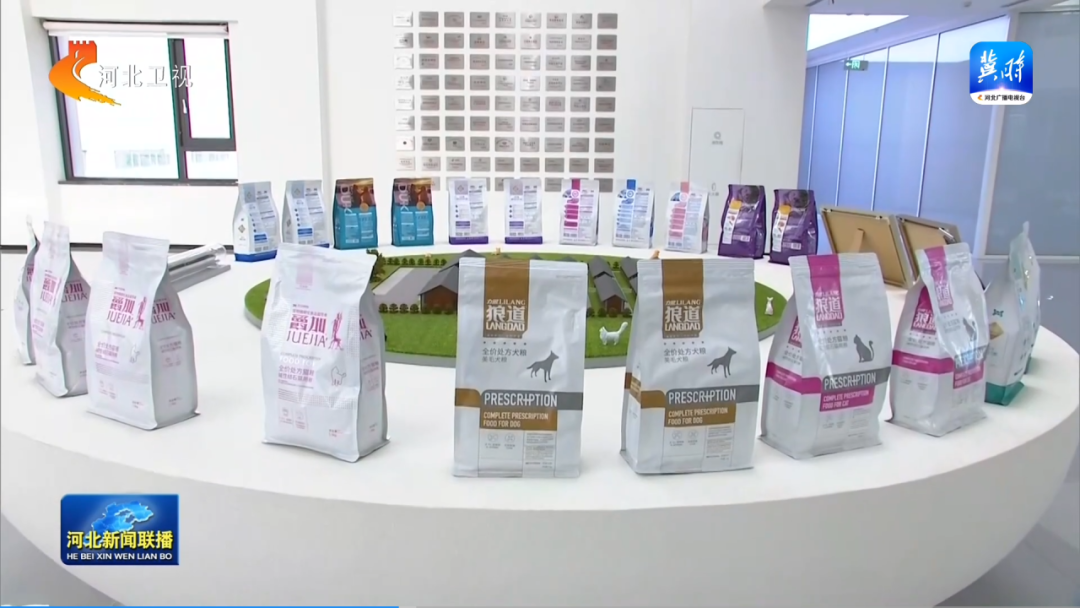 Hebei Governor Wang Zhengpu Visits Huaxing Pet Food Co., Ltd.